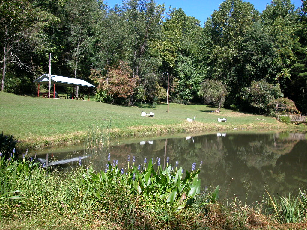 Small Pavilion